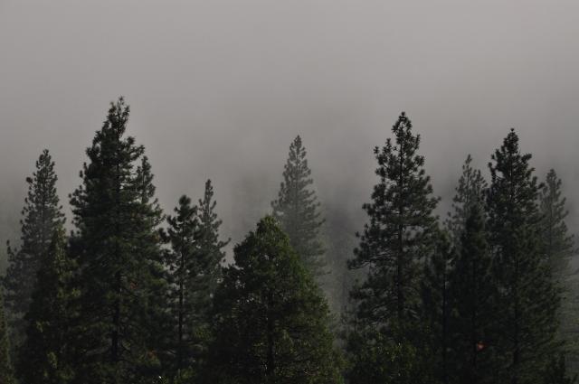 yosemite valley after rain